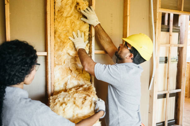 Best Residential Insulation Services  in Toftrees, PA